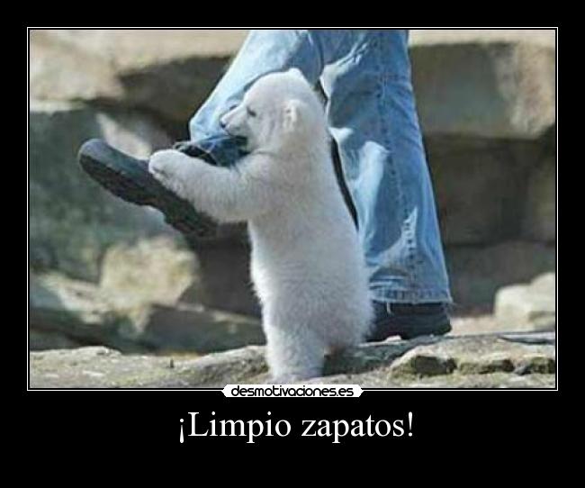 ¡Limpio zapatos! -