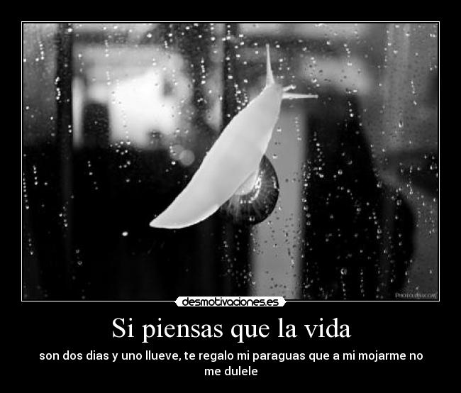 Si piensas que la vida -