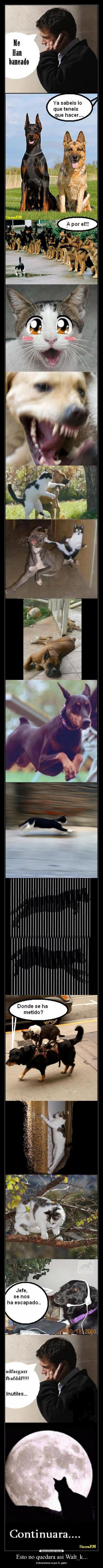 Esto no quedara asi Walt_k... - 