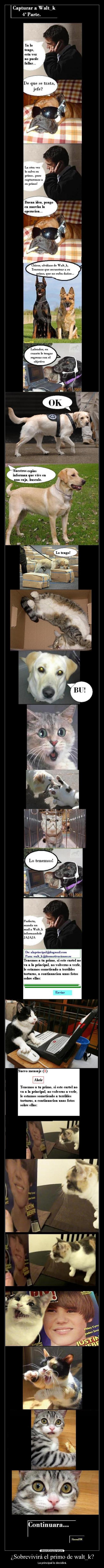 ¿Sobrevivirá el primo de walt_k? - 