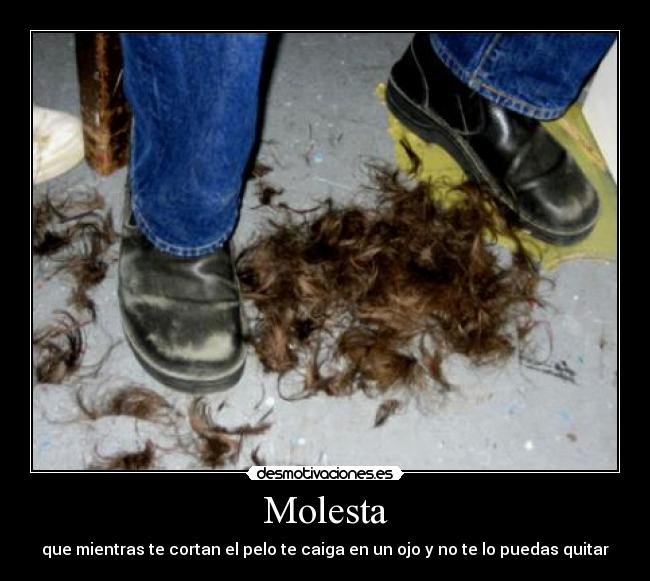 Molesta - que mientras te cortan el pelo te caiga en un ojo y no te lo puedas quitar