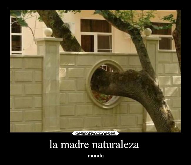 la madre naturaleza - manda