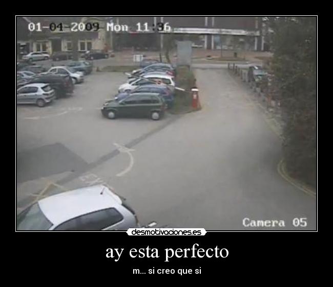 ay esta perfecto - m... si creo que si