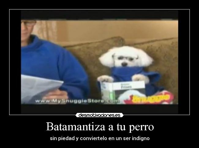 Batamantiza a tu perro -