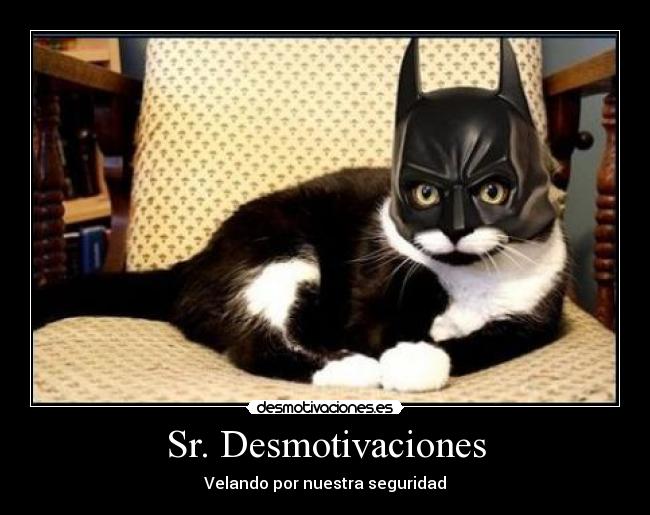 Sr. Desmotivaciones - Velando por nuestra seguridad