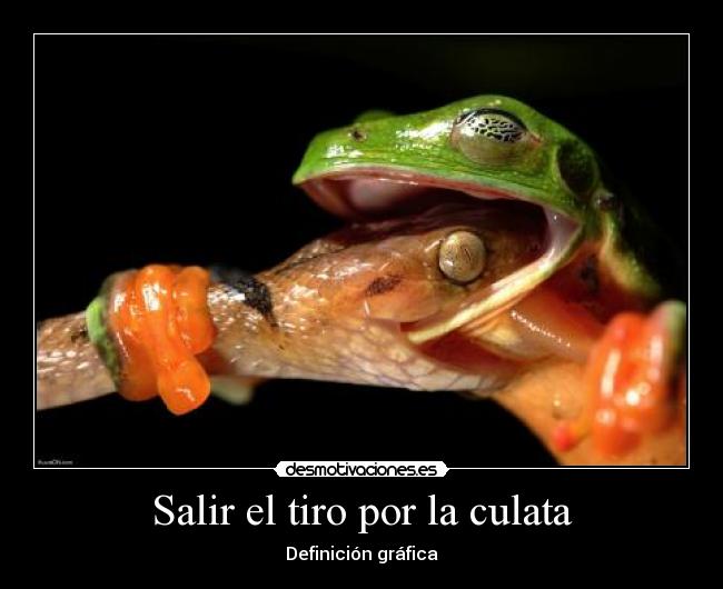 Salir el tiro por la culata - Definición gráfica
