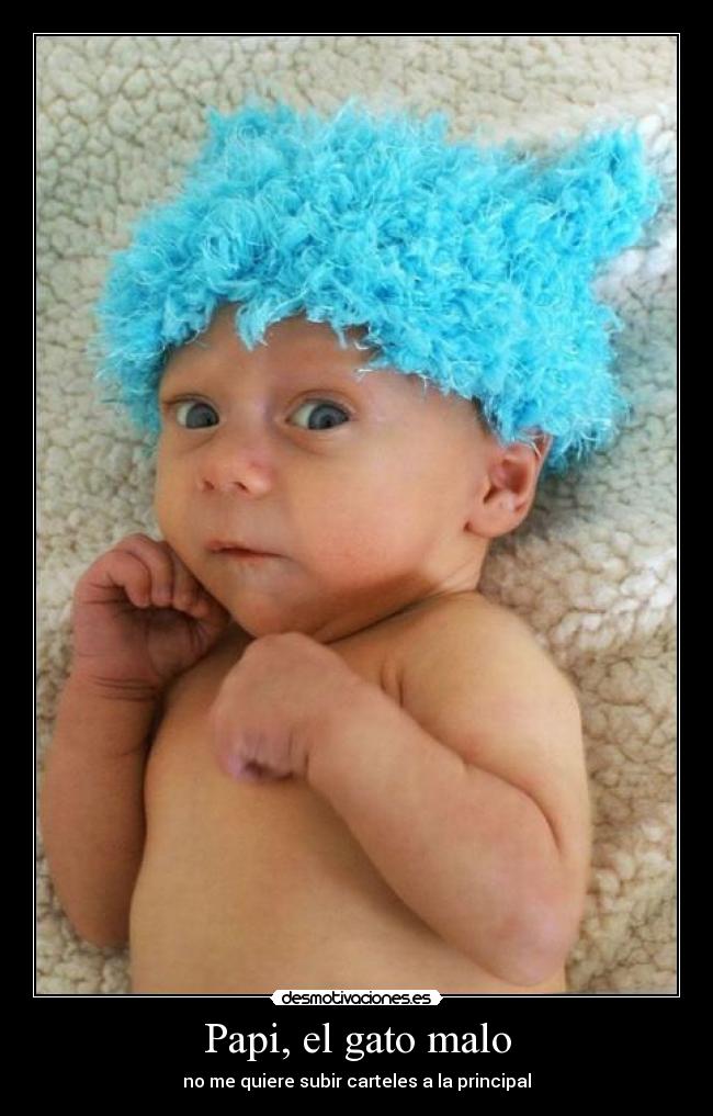 Papi, el gato malo - no me quiere subir carteles a la principal