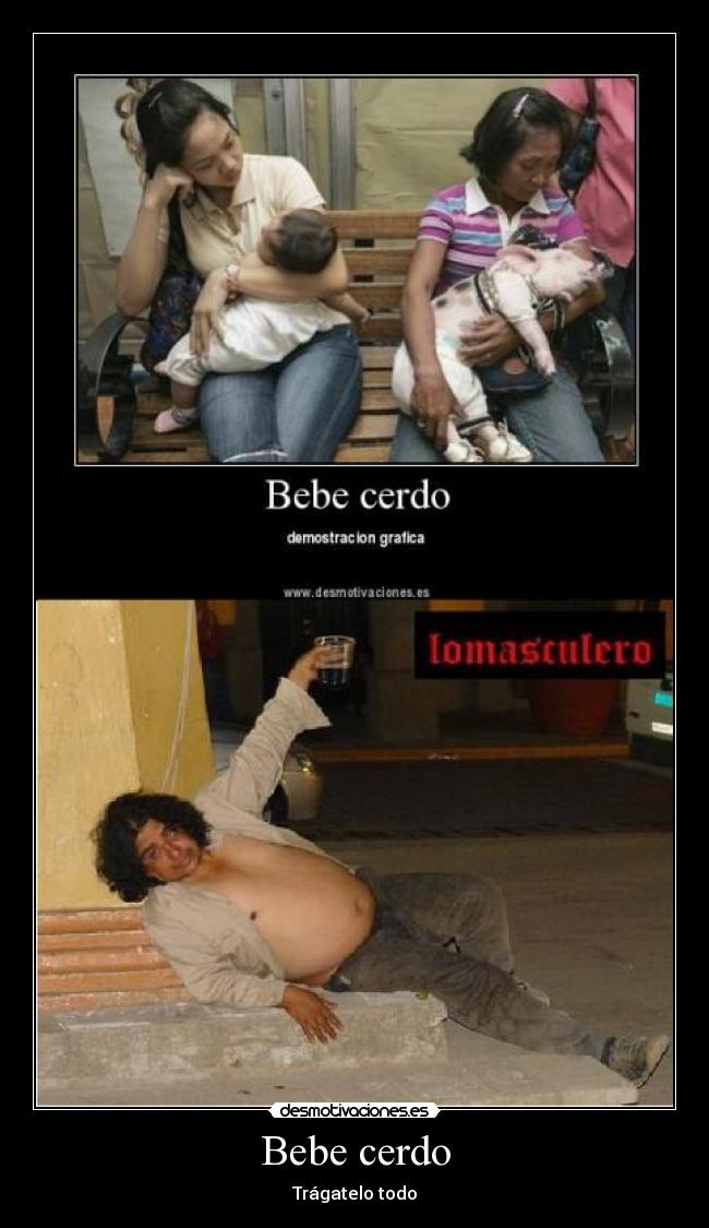 carteles peitolobo bebe cerdo borracho traga desmotivaciones