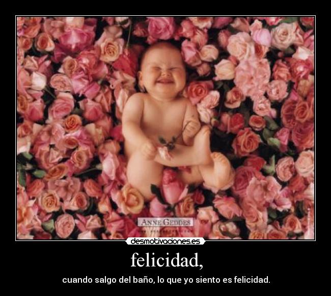 felicidad, -