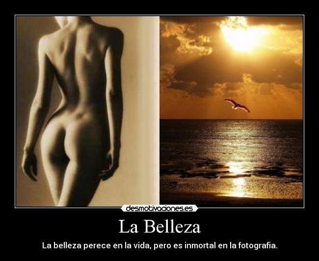 La Belleza -