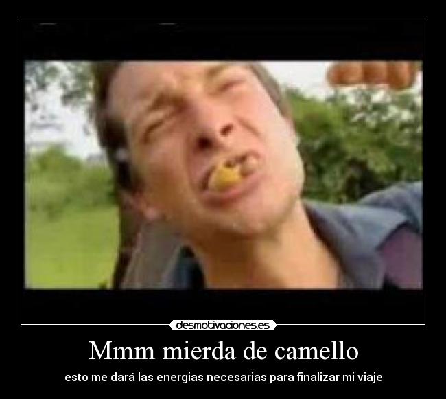 Mmm mierda de camello - esto me dará las energias necesarias para finalizar mi viaje