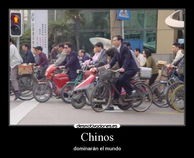 Chinos - 