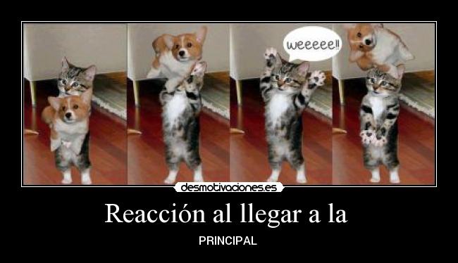 Reacción al llegar a la  - PRINCIPAL 