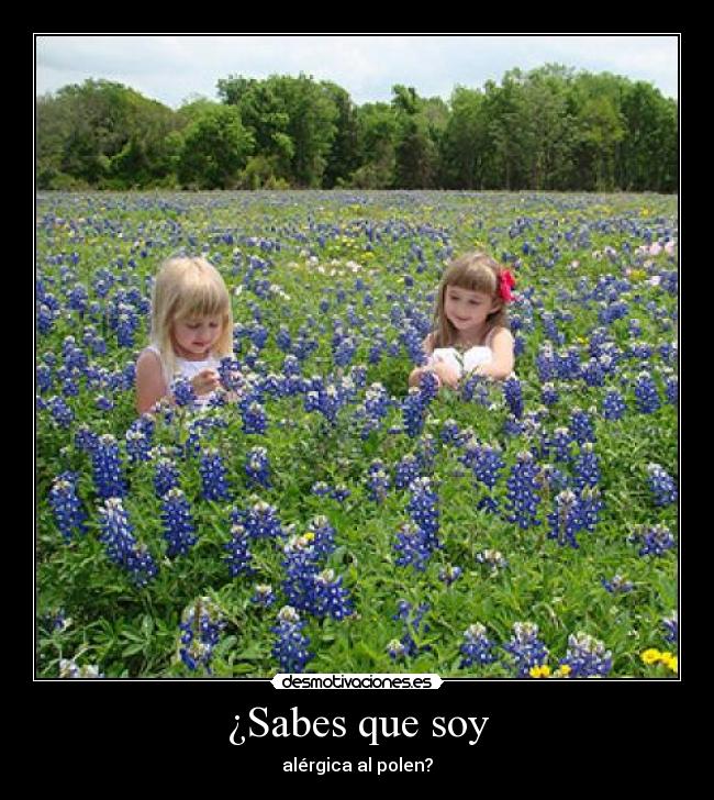 ¿Sabes que soy - alérgica al polen?