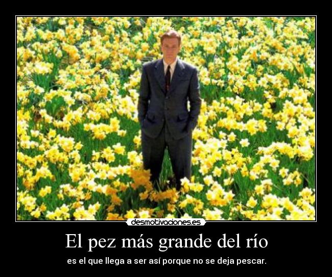 carteles big fish luckylucifer desmotivaciones