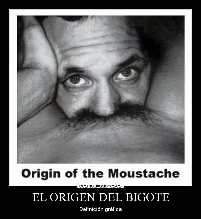 EL ORIGEN DEL BIGOTE - Definición gráfica