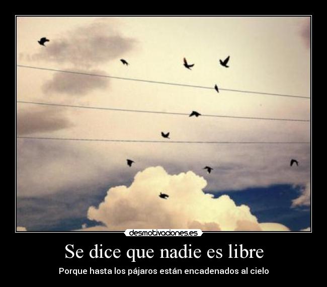 carteles nadie libre libertad pajaros volar cielo encadenados desmotivaciones
