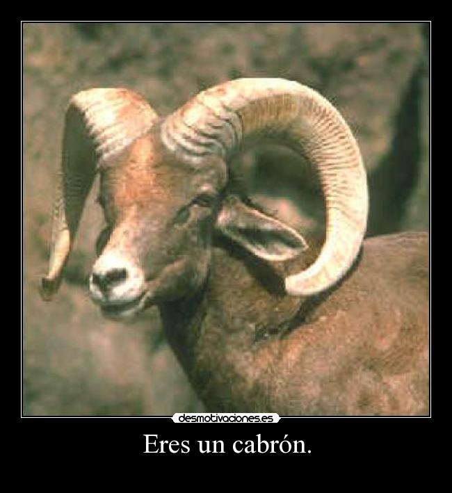 carteles cabron desmotivaciones