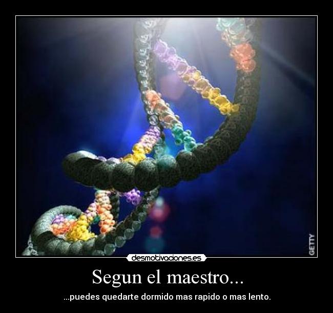 Segun el maestro... - 