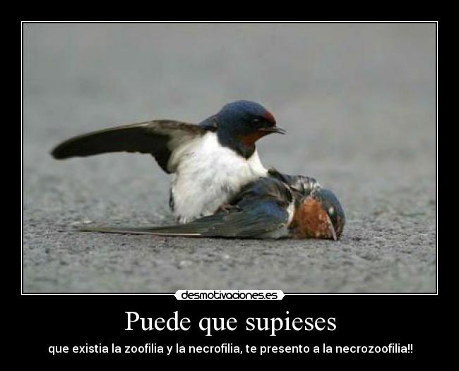 Puede que supieses - que existia la zoofilia y la necrofilia, te presento a la necrozoofilia!!