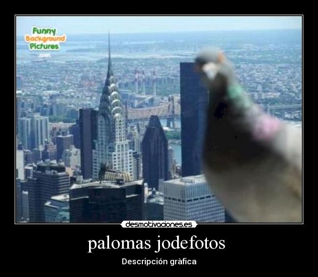 palomas jodefotos  - Descripción gràfica