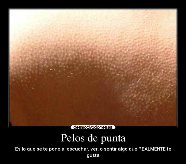 Pelos de punta -