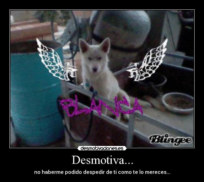 Desmotiva... - no haberme podido despedir de ti como te lo mereces...