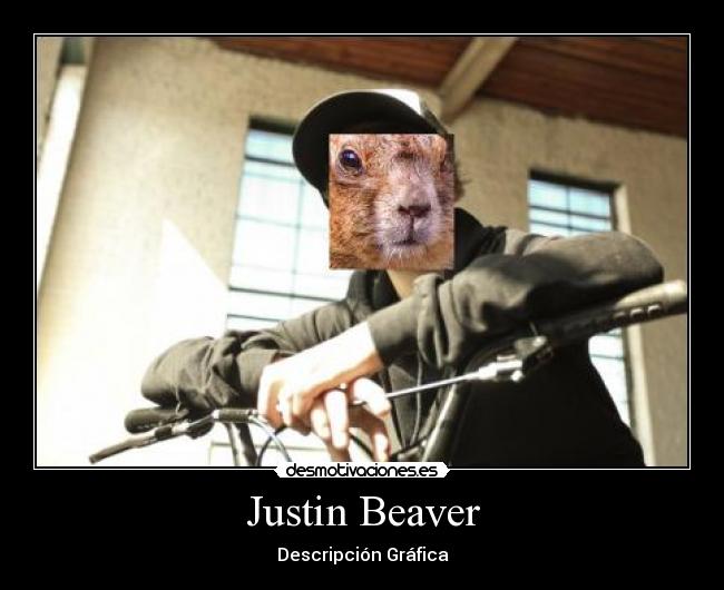 Justin Beaver - 