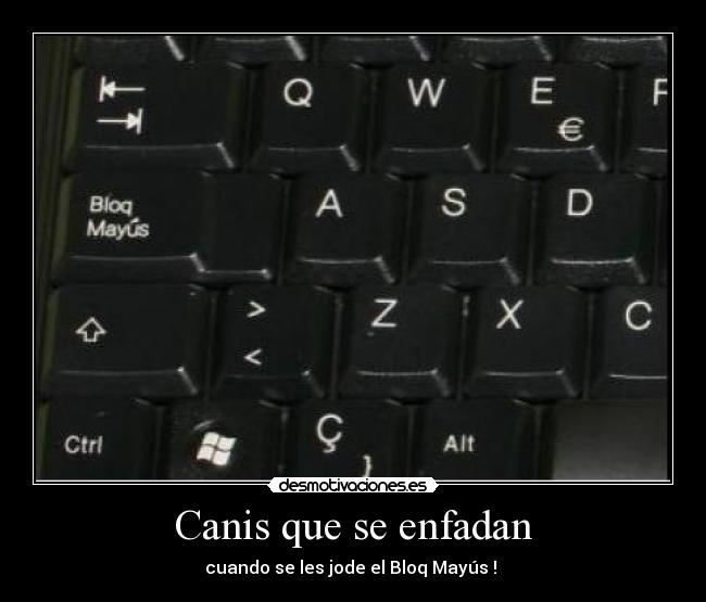 Canis que se enfadan - 
