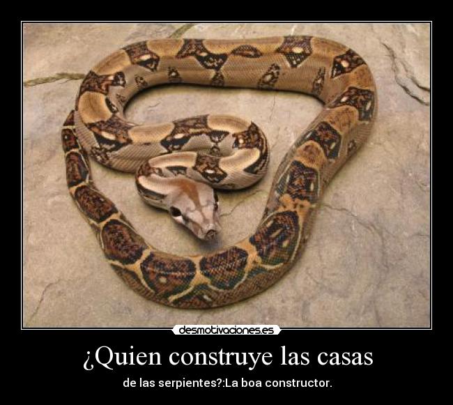 ¿Quien construye las casas - 
