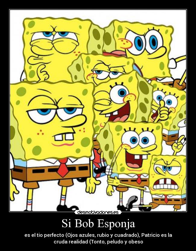 Si Bob Esponja - es el tio perfecto (Ojos azules, rubio y cuadrado), Patricio es la
cruda realidad (Tonto, peludo y obeso
