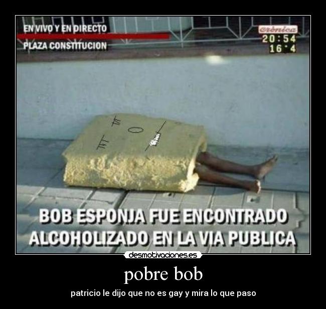 pobre bob -