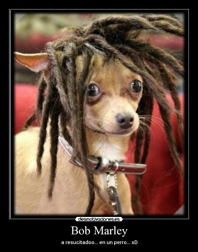 Bob Marley - 