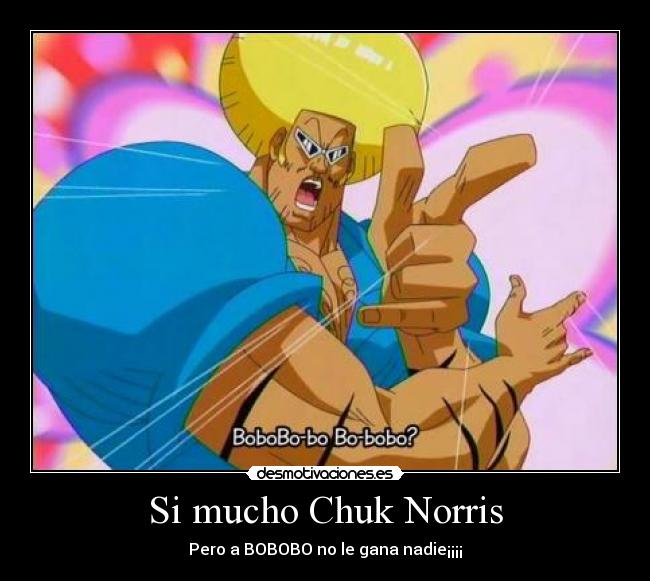 Si mucho Chuk Norris - Pero a BOBOBO no le gana nadie¡¡¡¡