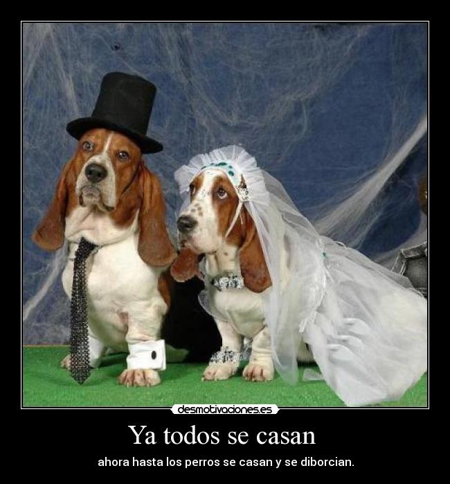 Ya todos se casan -