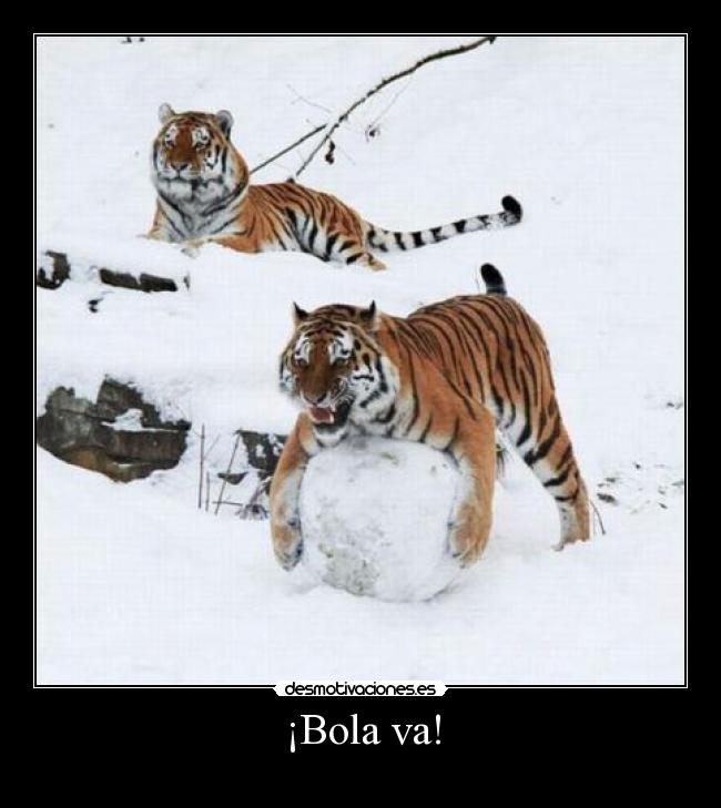 carteles tigres bola nieve desmotivaciones