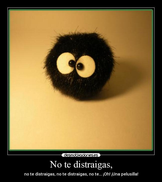 No te distraigas, -