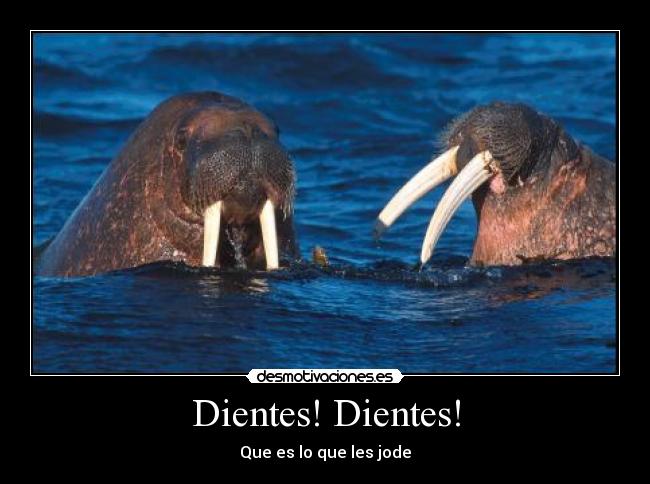 Dientes! Dientes! - 