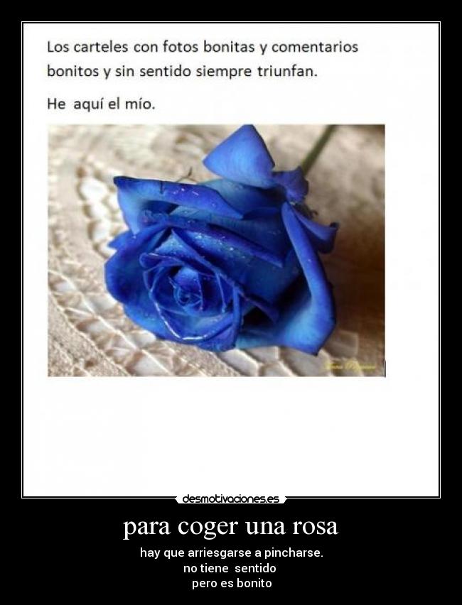 para coger una rosa -
