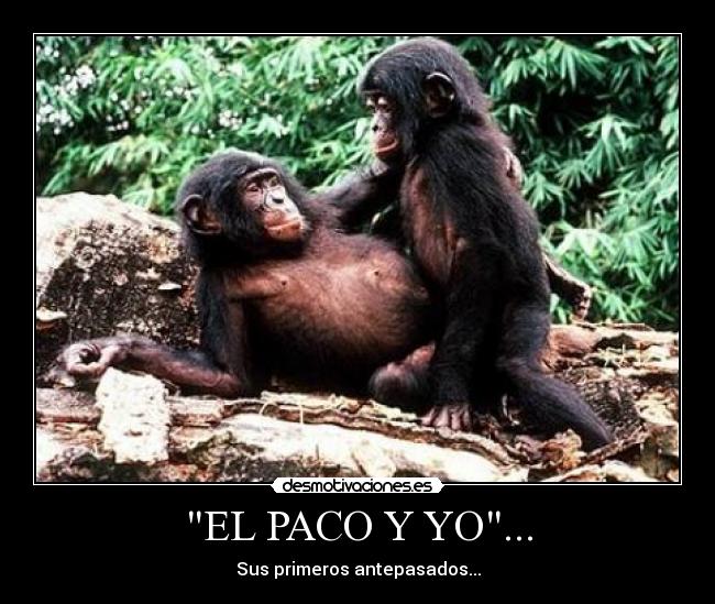 EL PACO Y YO... -
