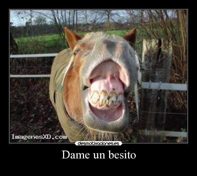 carteles shannay desmotivaciones