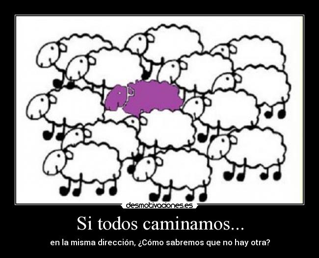 Si todos caminamos... - en la misma dirección, ¿Cómo sabremos que no hay otra?