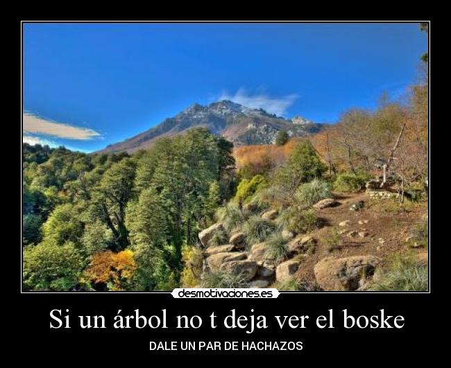 Si un árbol no t deja ver el boske - DALE UN PAR DE HACHAZOS