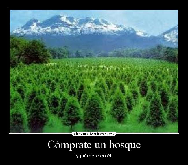 carteles comprate bosque pierdete el desmotivaciones