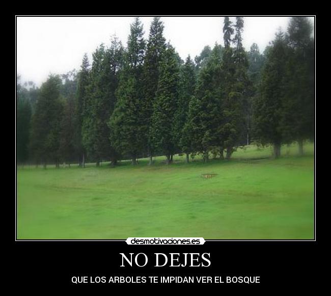 NO DEJES -