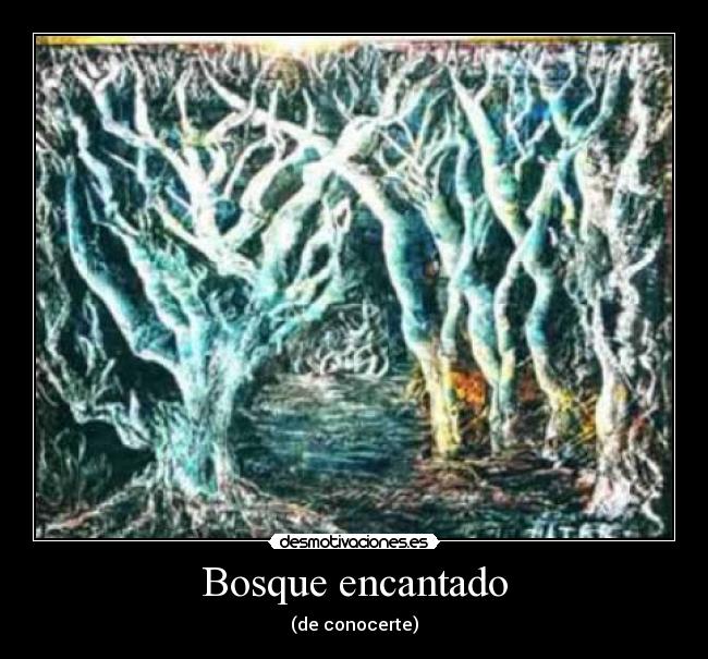 Bosque encantado - 