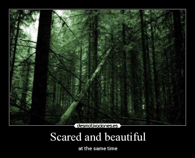 Scared and beautiful - at the same time