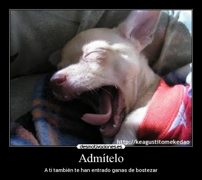 Admítelo - A ti también te han entrado ganas de bostezar