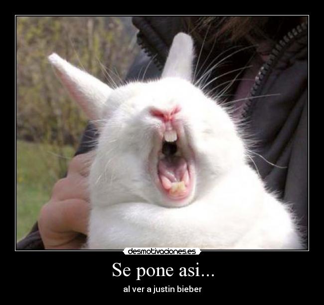 Se pone asi... - al ver a justin bieber