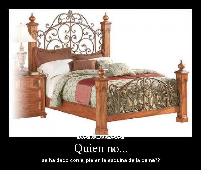 Quien no... - 